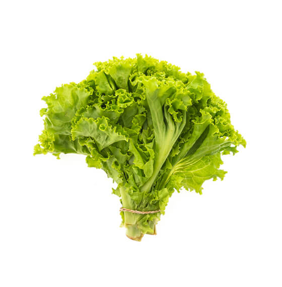 Canuck Fresh